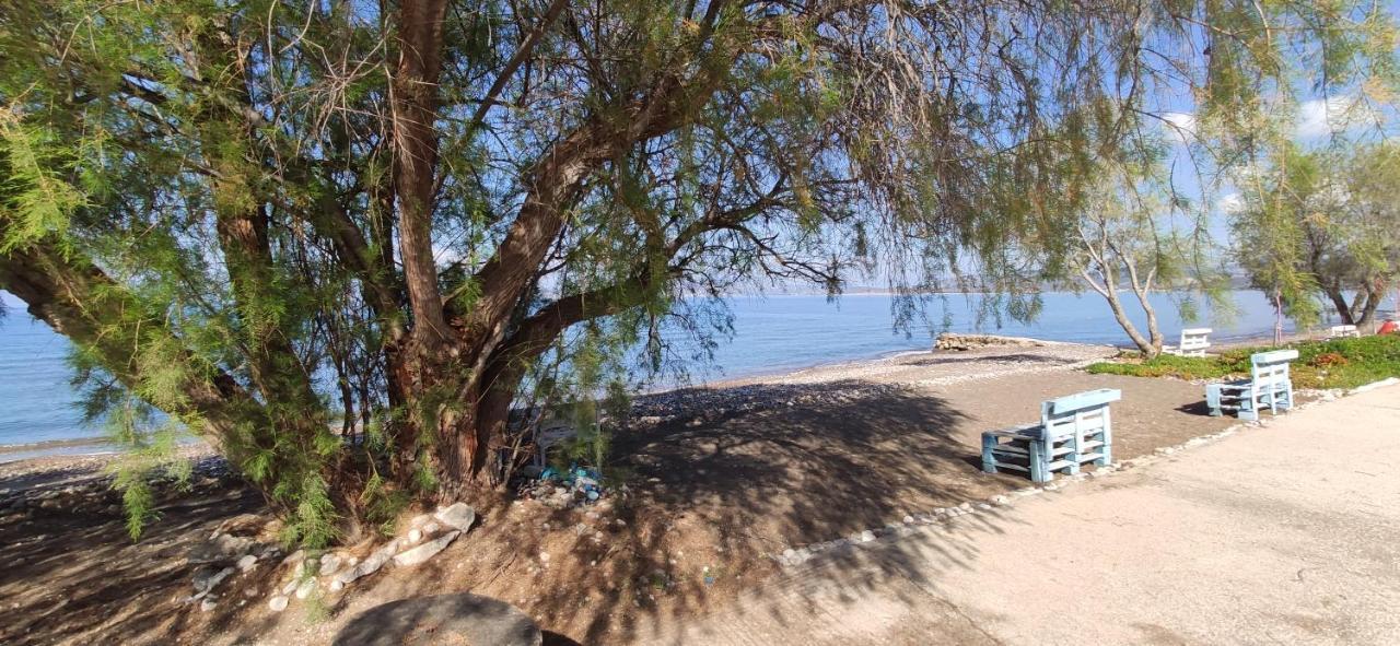 Vikos Beach Apartments Paralia Irion Екстер'єр фото