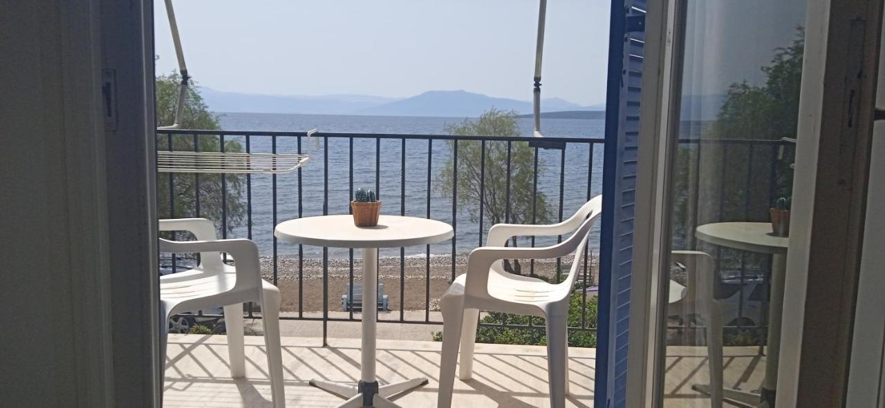 Vikos Beach Apartments Paralia Irion Екстер'єр фото