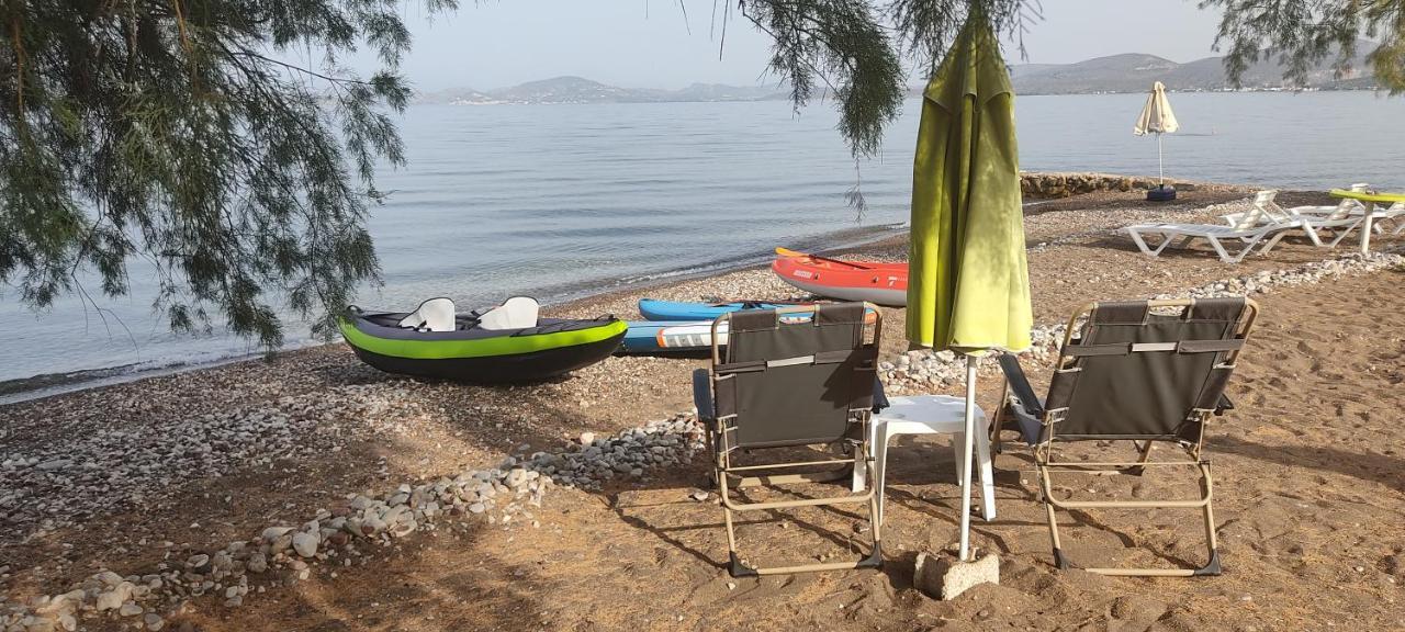 Vikos Beach Apartments Paralia Irion Екстер'єр фото