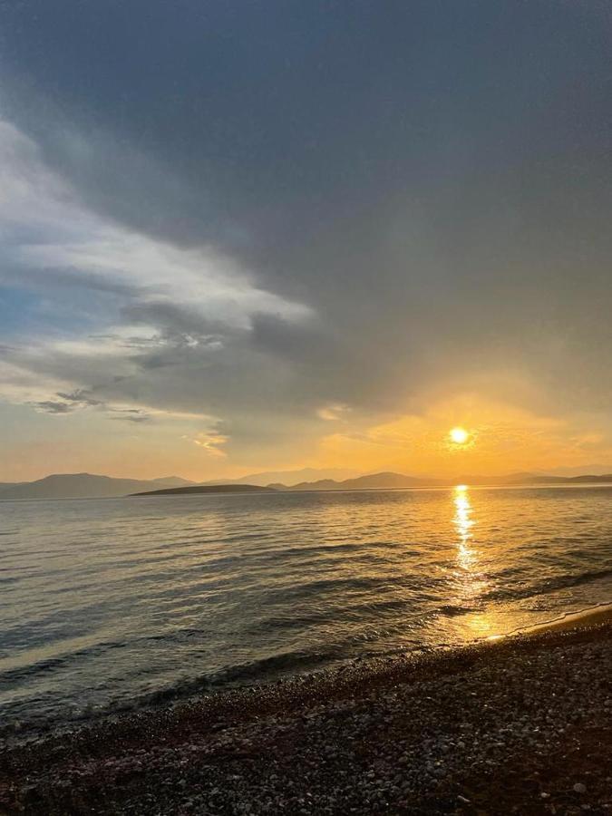 Vikos Beach Apartments Paralia Irion Екстер'єр фото