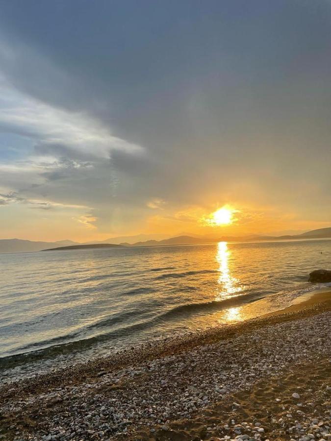 Vikos Beach Apartments Paralia Irion Екстер'єр фото